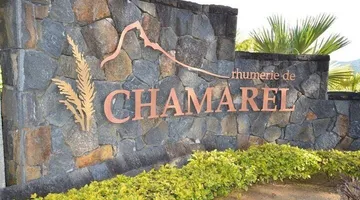 Things to Do in Chamarel, Mauritius: The Complete Guide for Families and Couples